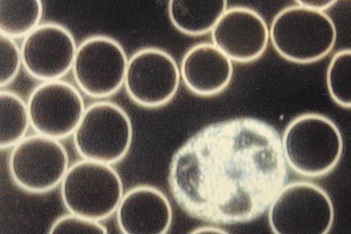 Eine Nahaufnahme einer Reihe von Kreisen auf schwarzem Hintergrund.