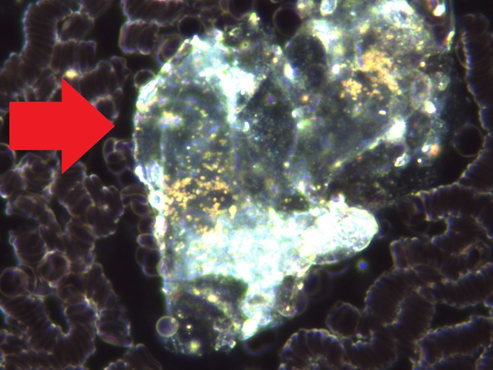 Eine Nahaufnahme eines Felsens, auf den ein roter Pfeil zeigt.