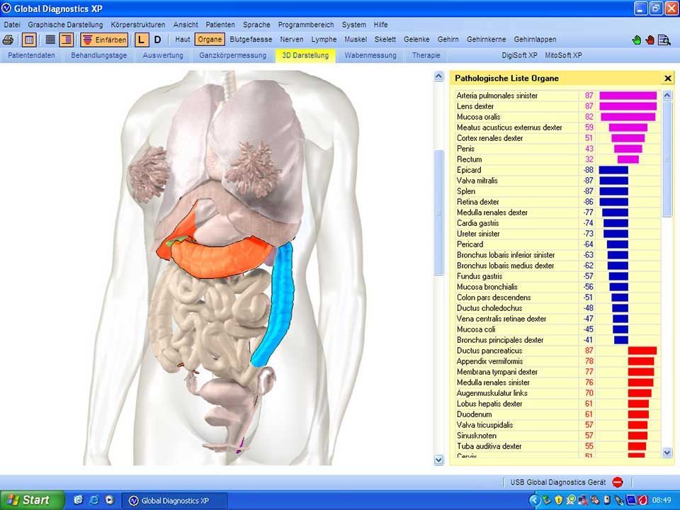 Ein Computerbildschirm zeigt das Innere eines menschlichen Körpers
