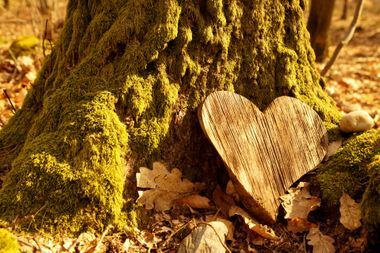 Tintrup Bestattungen - Baum und Herz