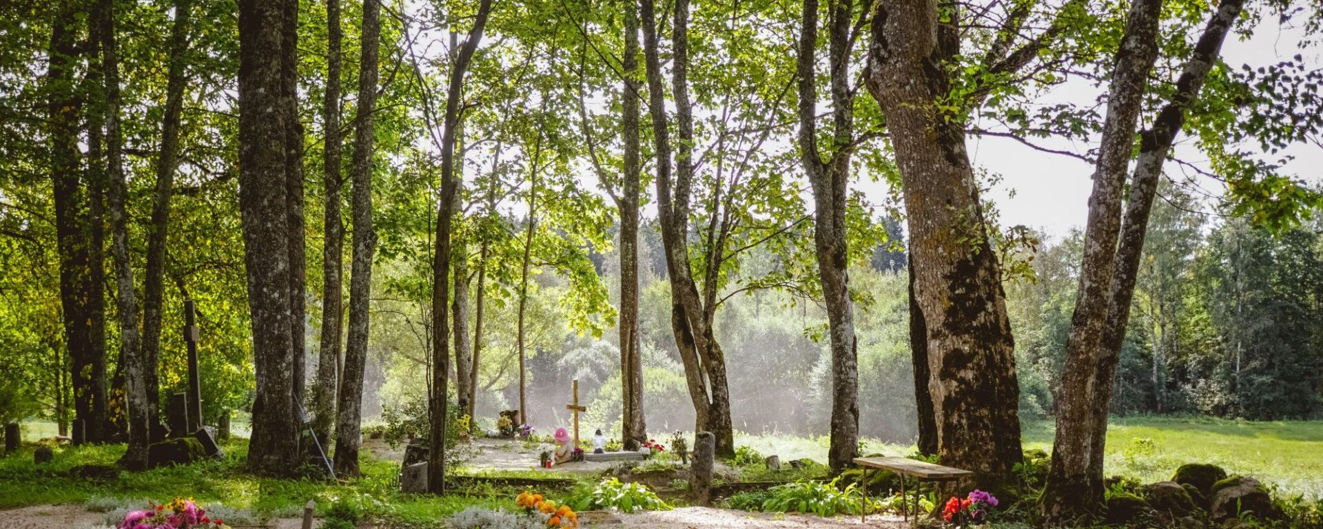 Tintrup Bestattungen - Friedhof im Wald
