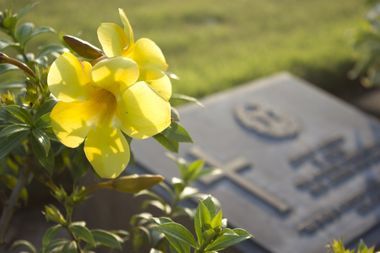Tintrup Bestattungen - Gelbe Blume und Grabstein