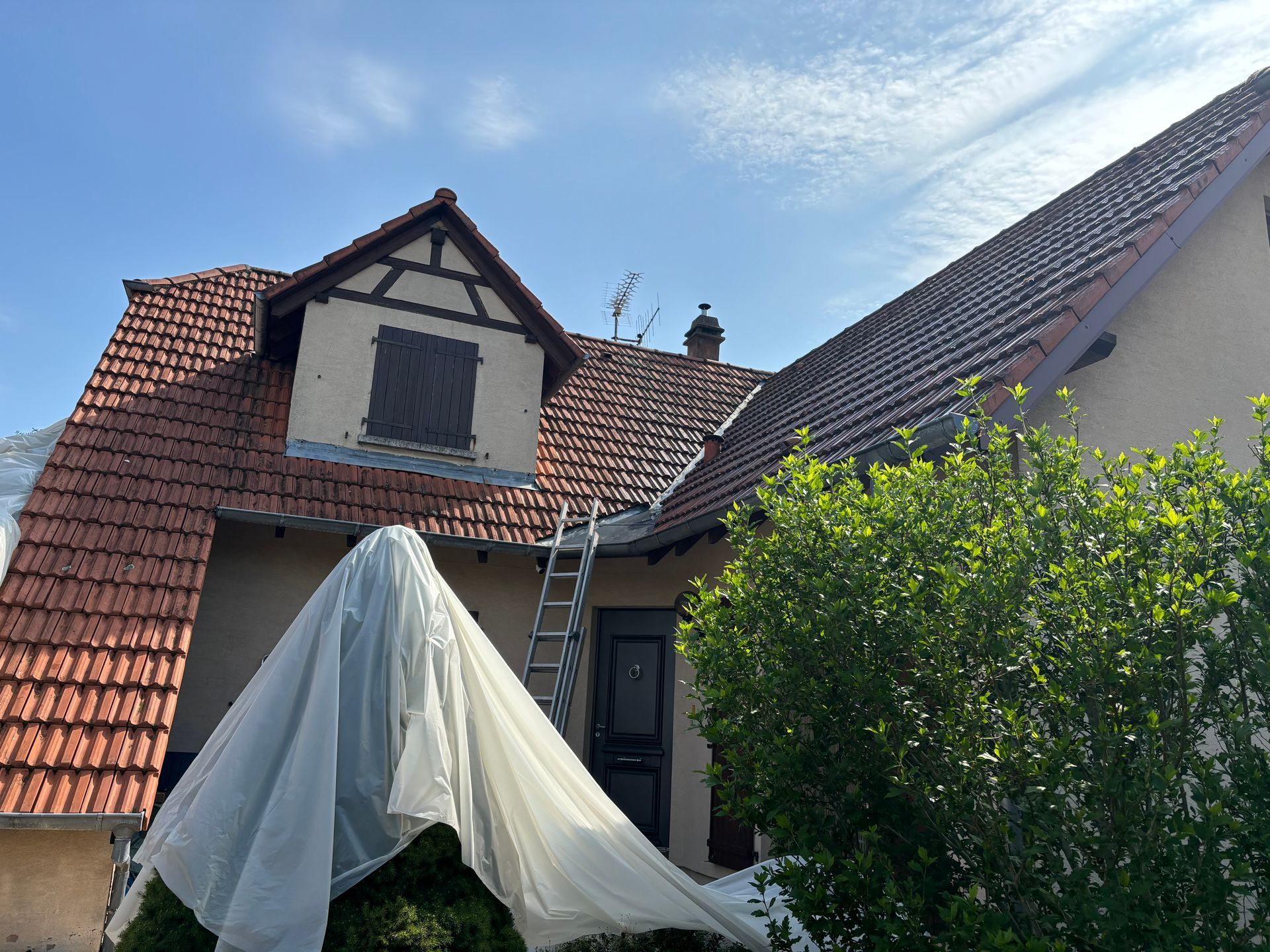 Avant nettoyage de toiture