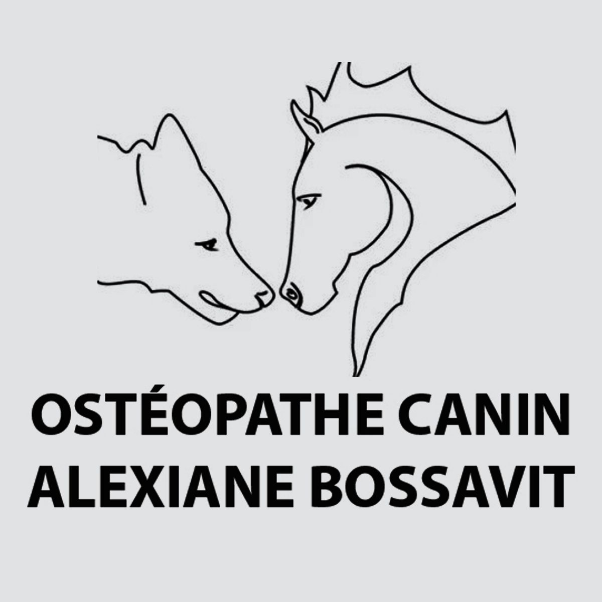 Logo Alexiane Bossavit, ostéopathe canin