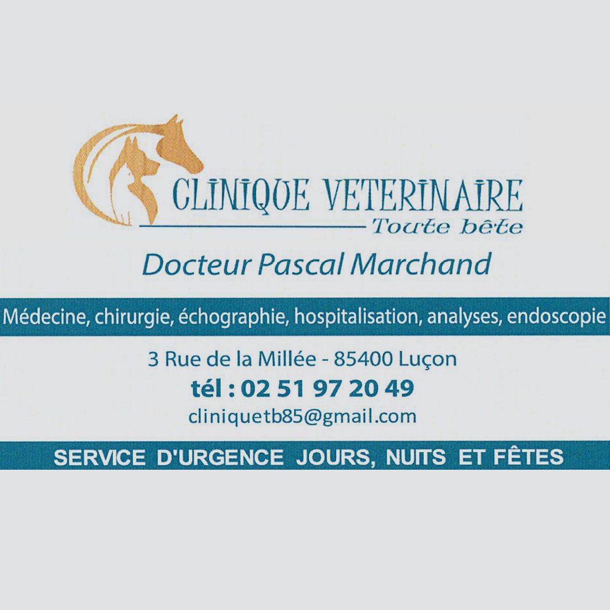Logo clinique vétérinaire du docteur Marchand à Luçon