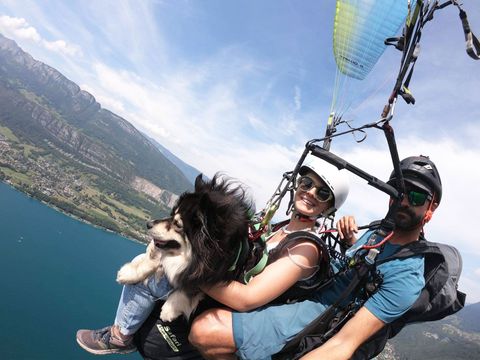 TOONA chien finnois de Laponie couché avec son gilet de chien d'assistance