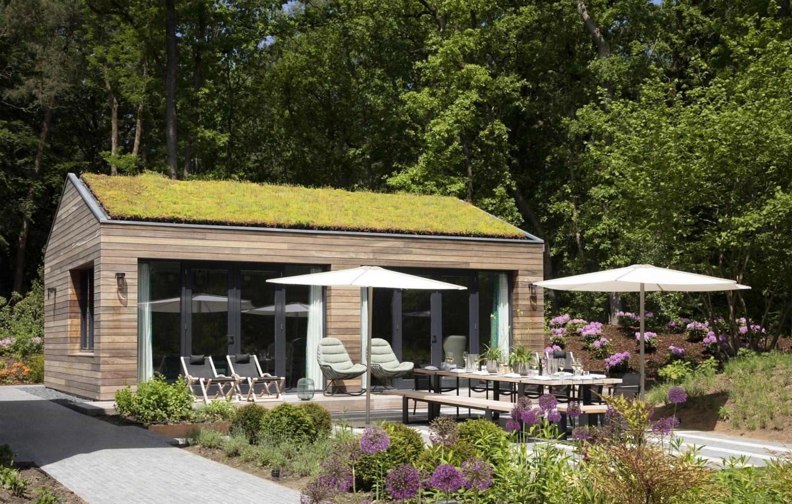 Een moderne houten blokhut met een groen dak, voorzien van zitgelegenheid en parasols in een bosrijke omgeving.
