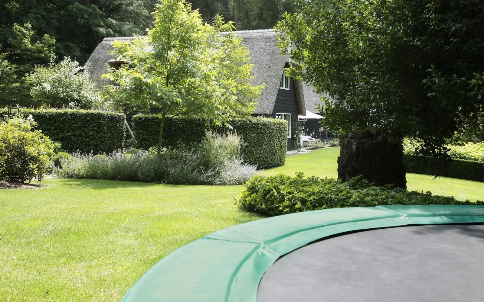 Ein Hinterhof mit Rasenfläche und einem Trampolin im Vordergrund, dahinter eine Gartenhecke und ein Haus mit Reetdach.