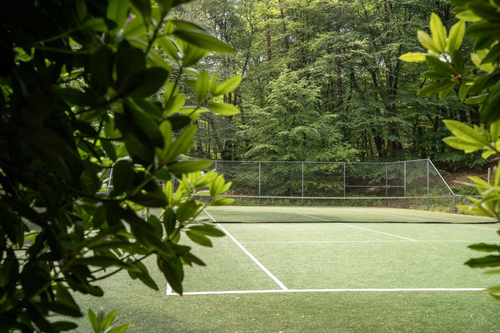Ein grüner Tennisplatz im Freien, umrahmt von belaubten Baumzweigen, mit einem Drahtzaun und Wald im Hintergrund.