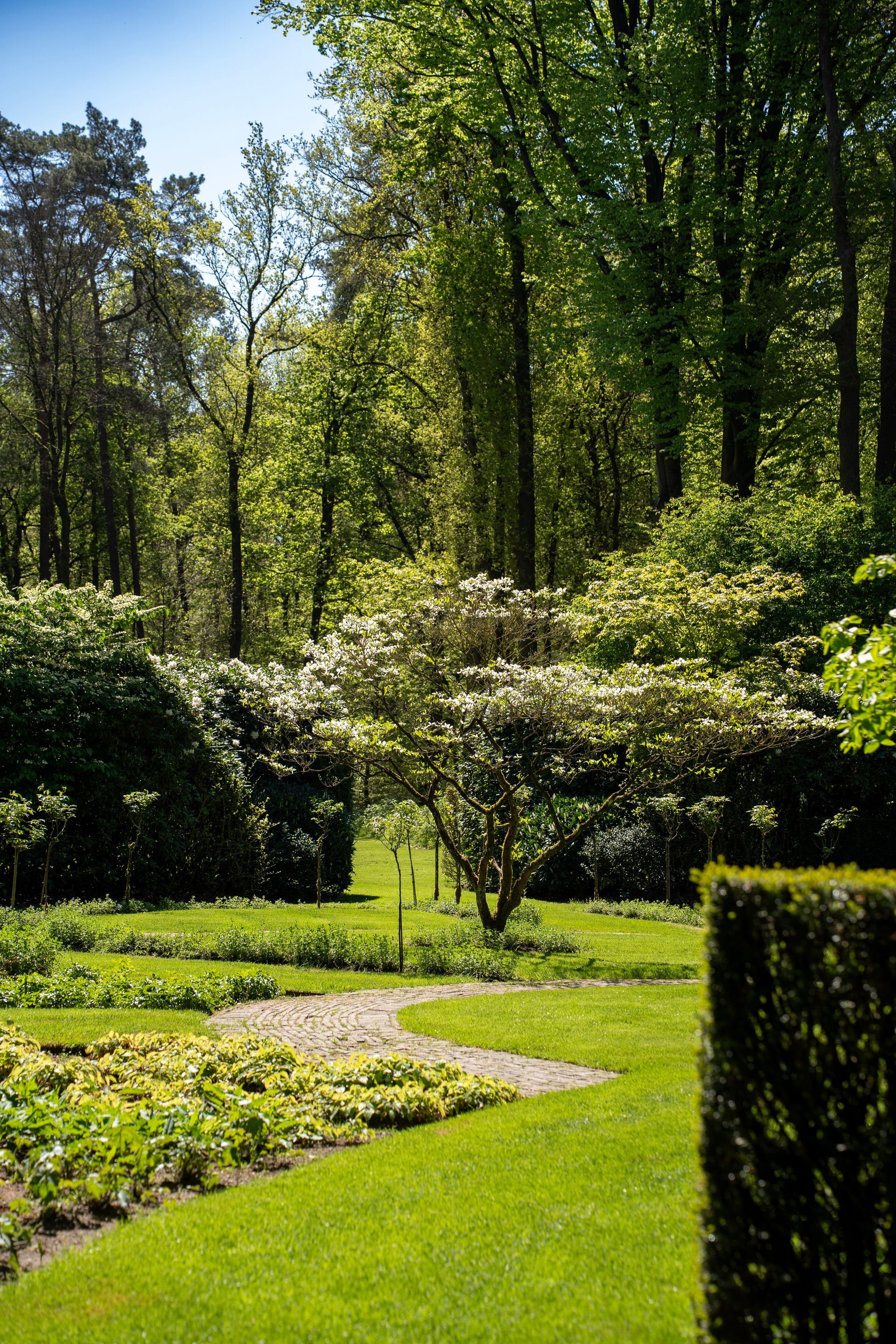 Een weelderige tuin met een kronkelend grindpad, een groen gazon, keurig gesnoeide hagen en een bloeiende boom, omgeven door hoge bosbomen.