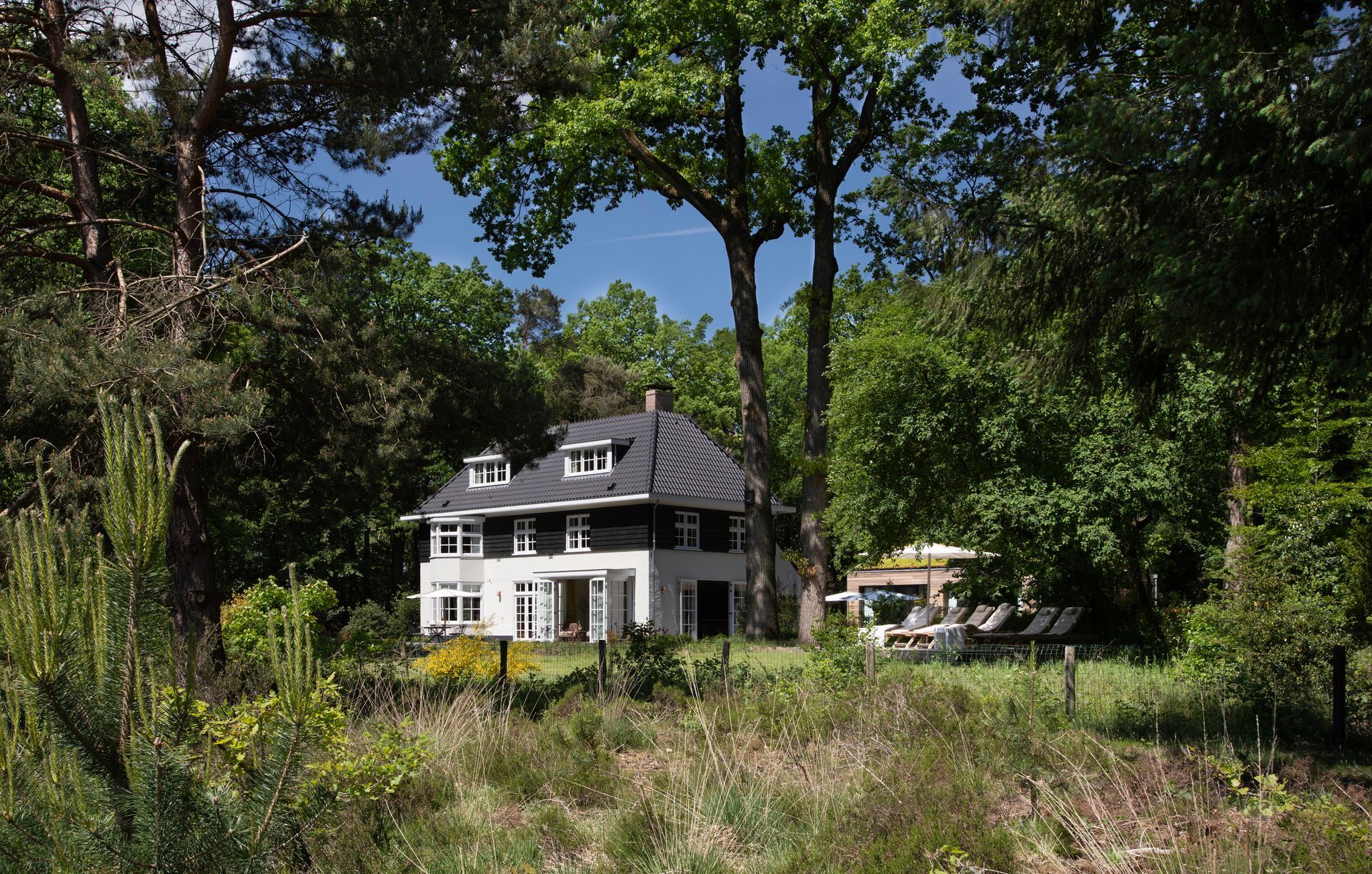 Paarse blauweregenbloemen hangen over een boog die een zonnig terras omlijst, met tafels, stoelen en witte parasols.