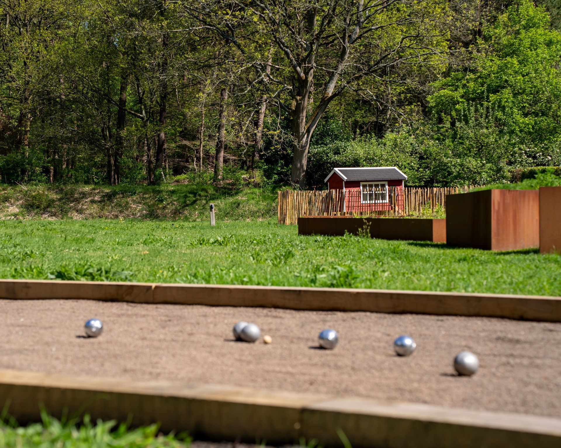 Een levendig stukje paarse heide in een droog, grasrijk landschap onder een blauwe, bewolkte hemel.