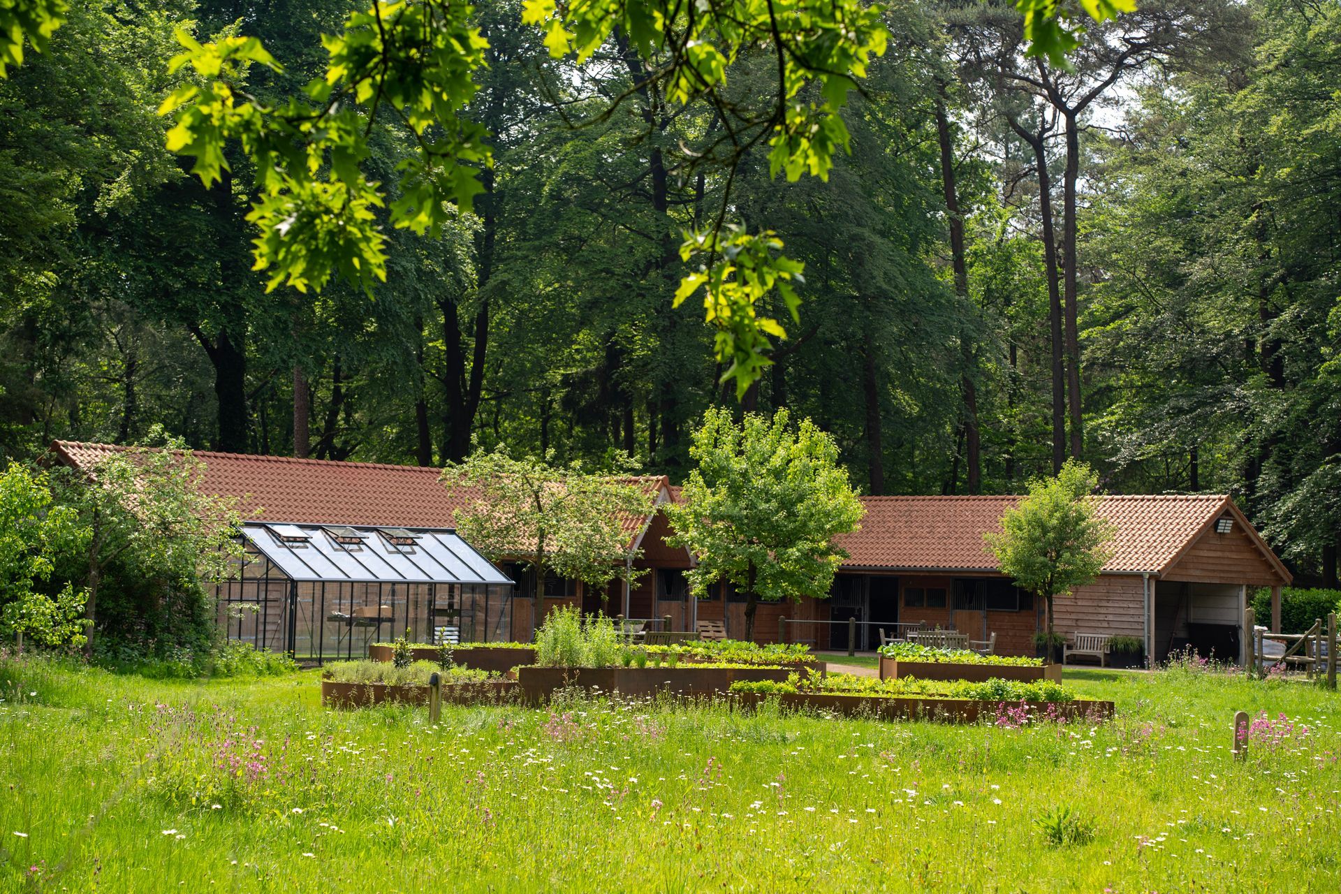 Drie mensen fietsen op mountainbikes over een onverhard pad door een bosrijk gebied.
