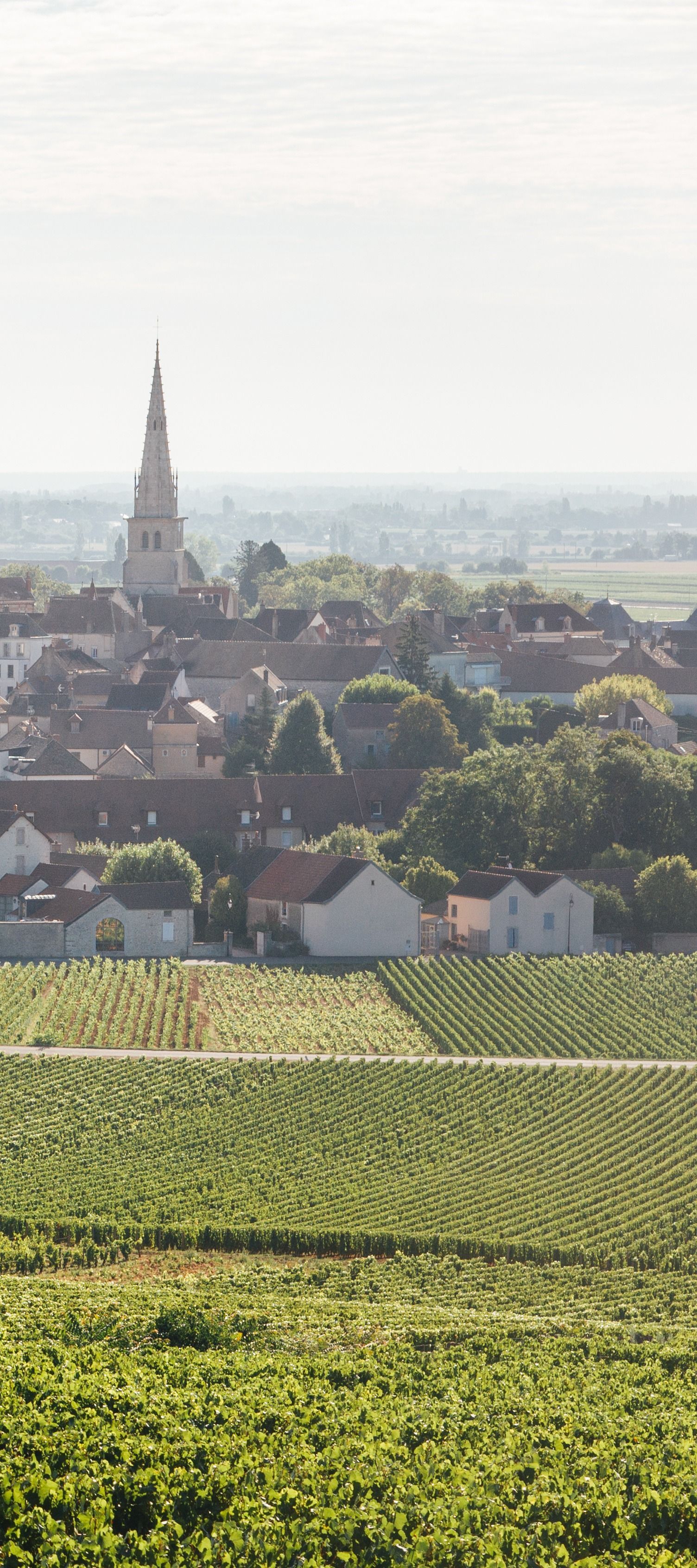 Silhouette lointaine d'une ville avec le clocher d'une église se détachant au-delà de champs verdoyants sous un ciel brumeux