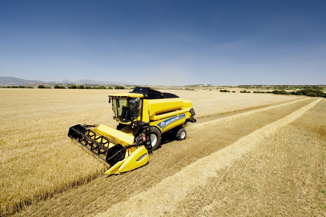Keltainen leikkuupuimuri korjaa vehnää laajalla, kuivalla pellolla kirkkaan sinisen taivaan alla.