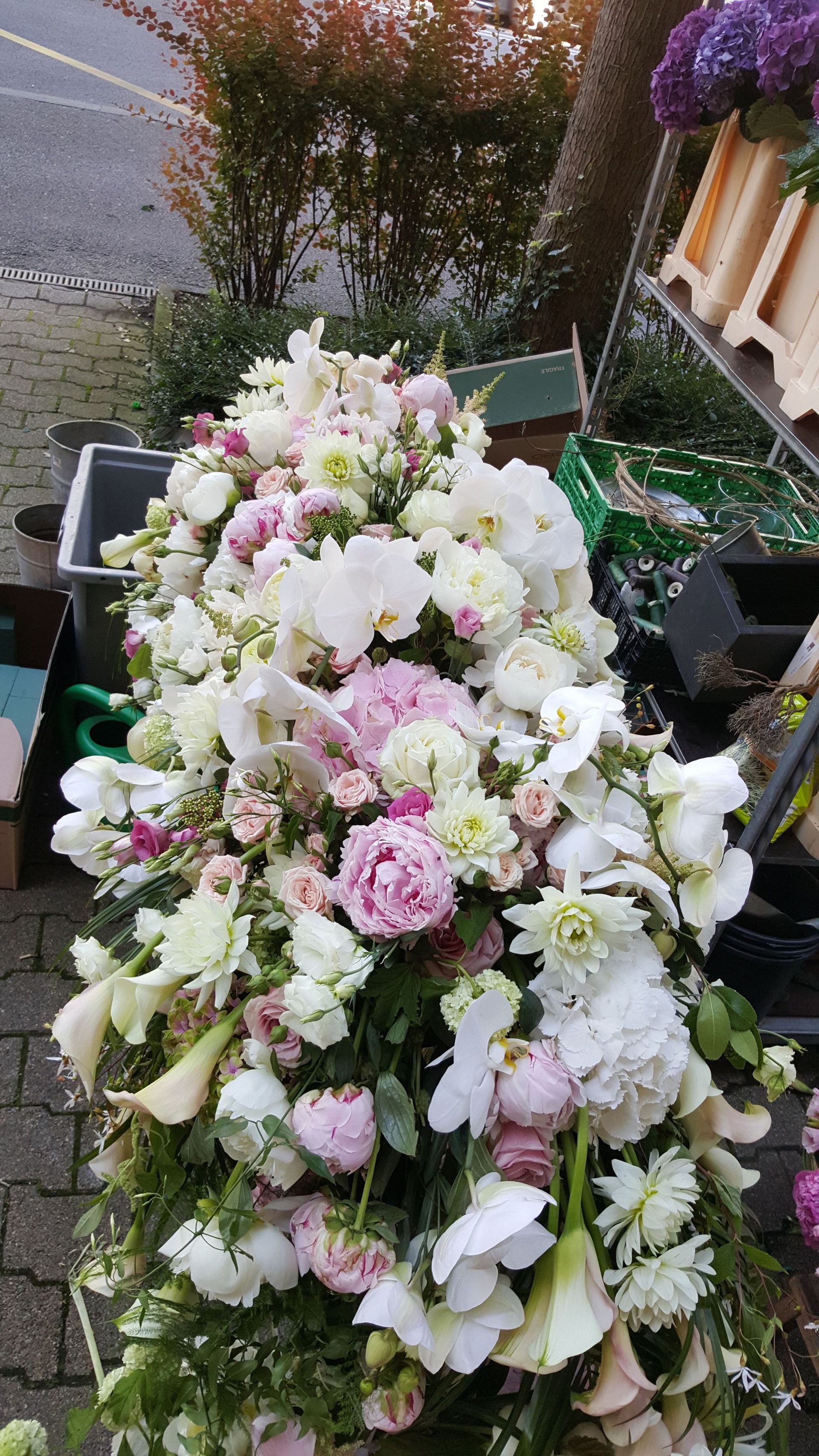 Venetoulis SA|Genève