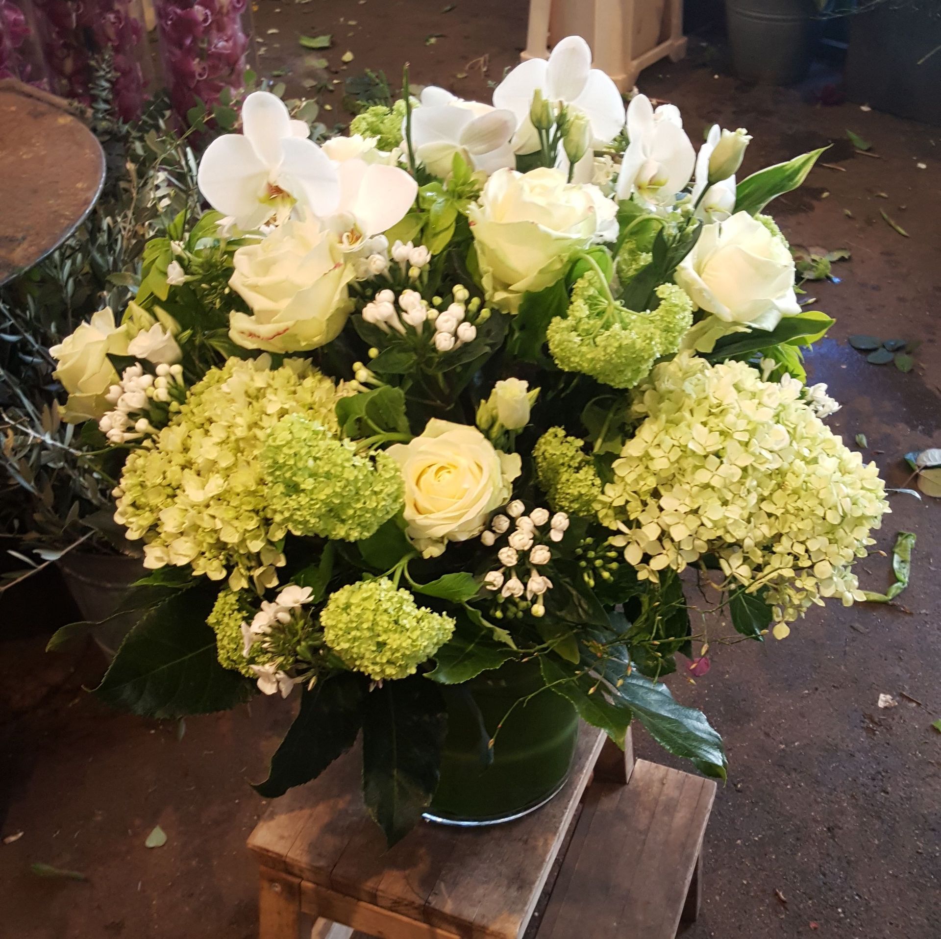 Venetoulis SA|Genève