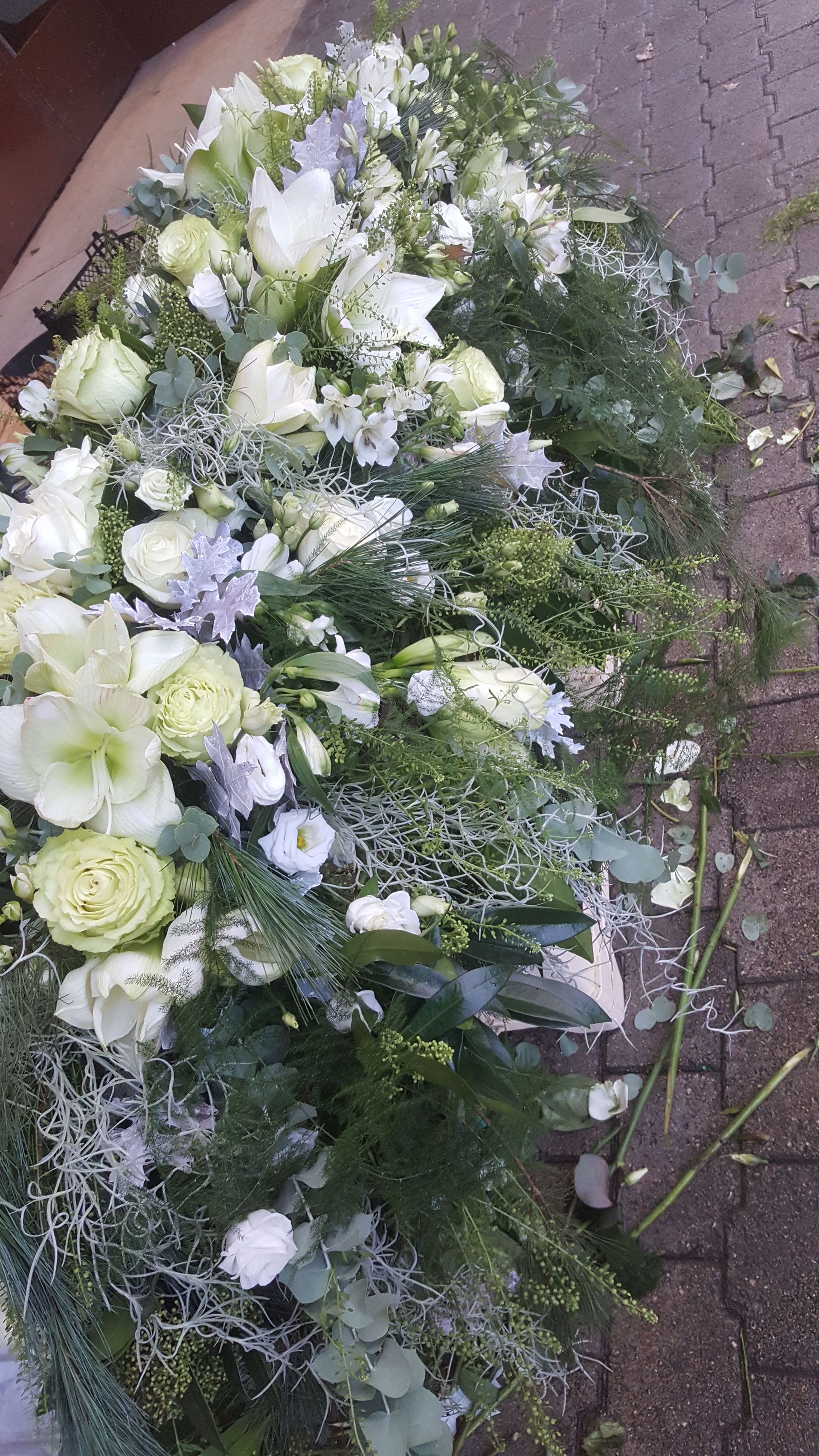 Venetoulis SA|Genève