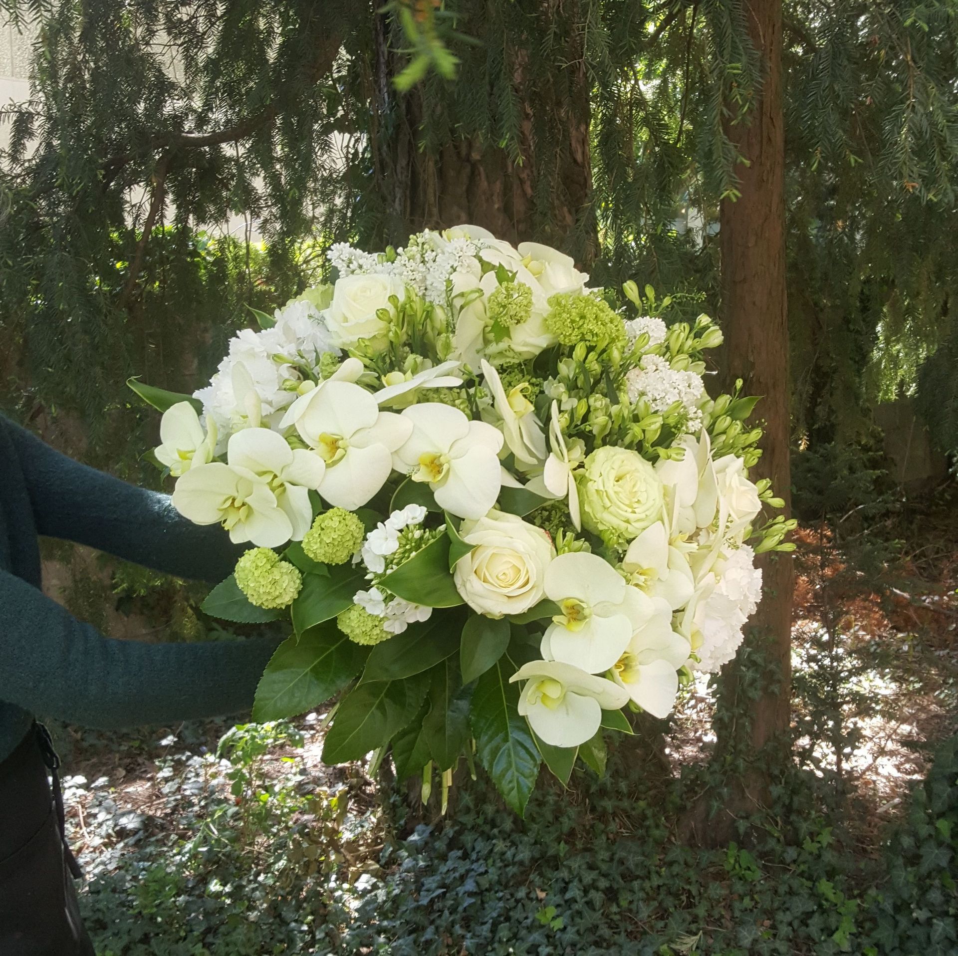 Venetoulis SA|Genève