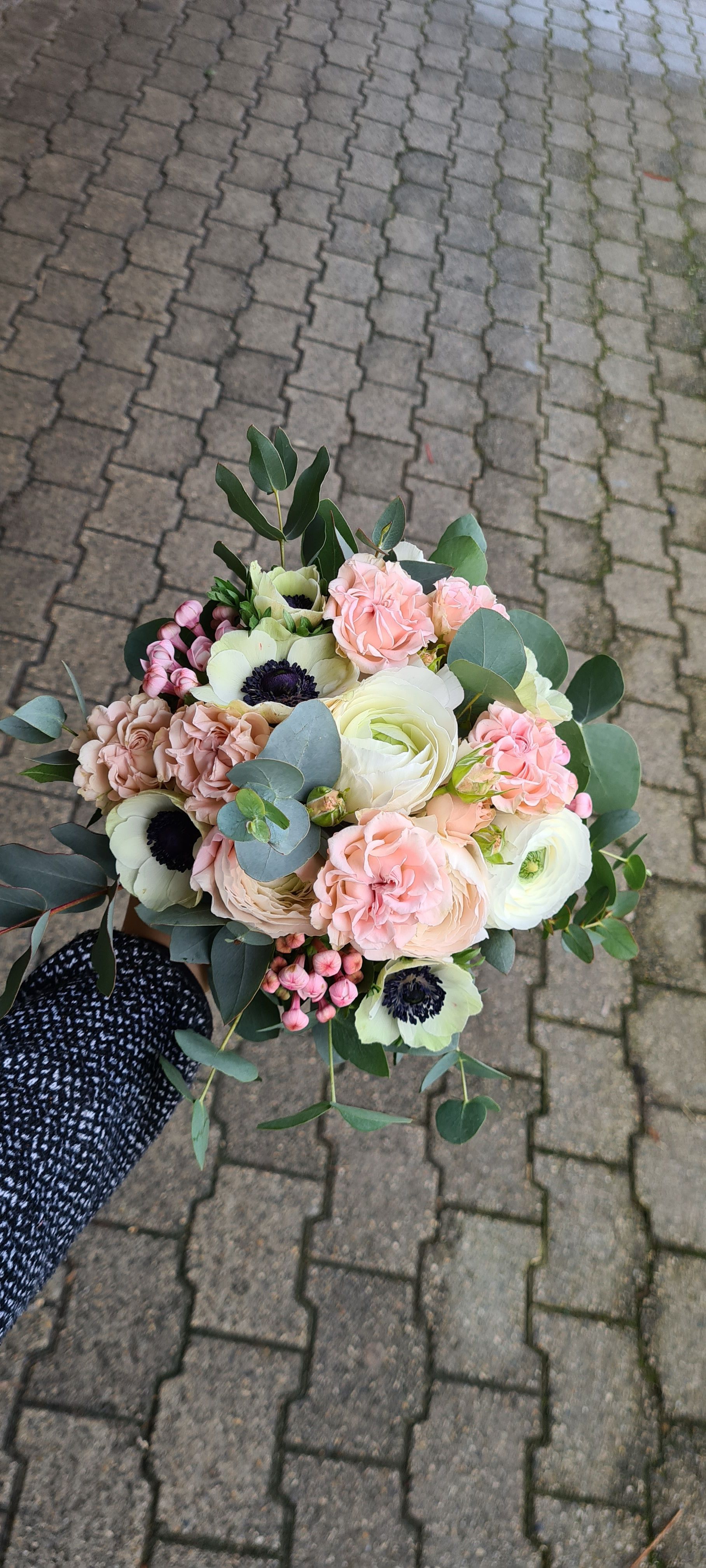 Venetoulis SA|Genève