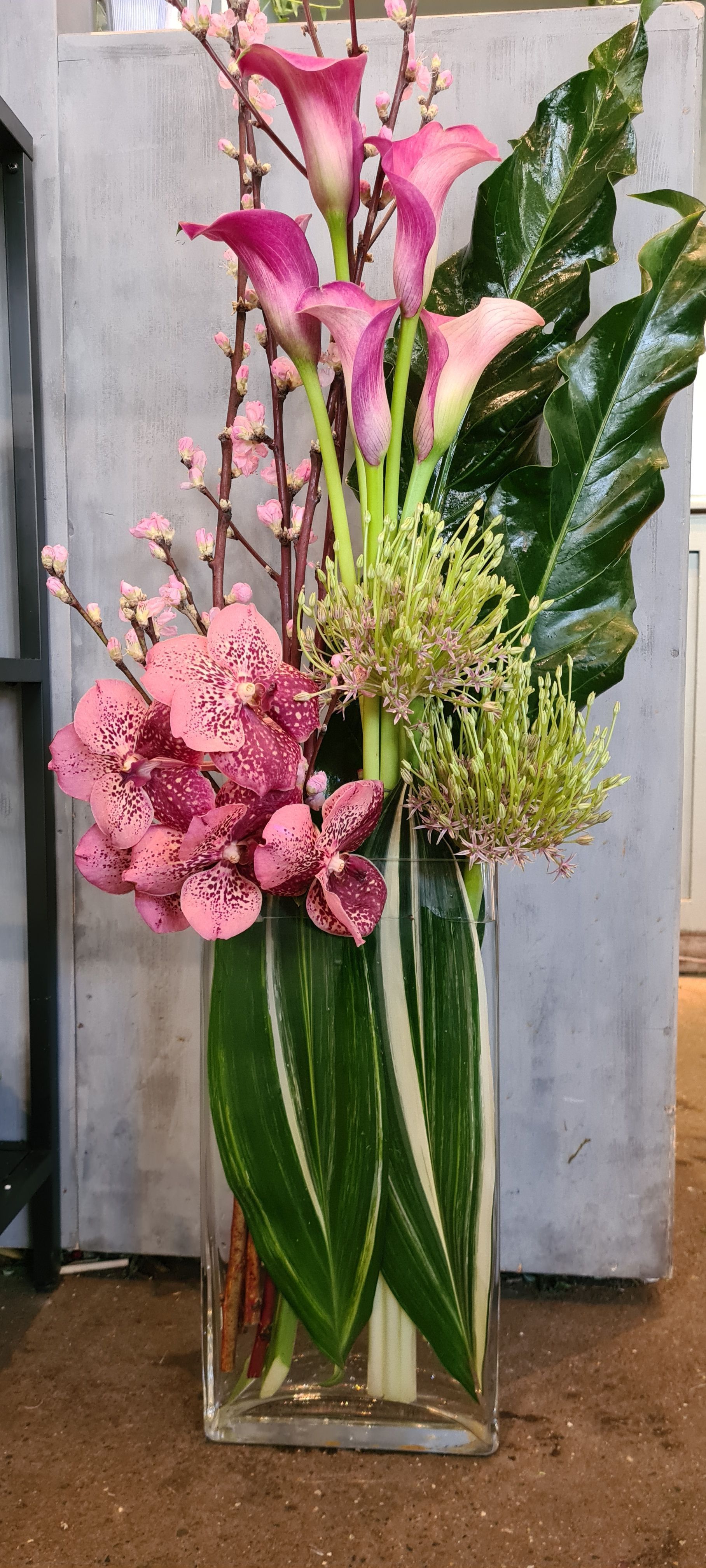 Venetoulis SA|Genève