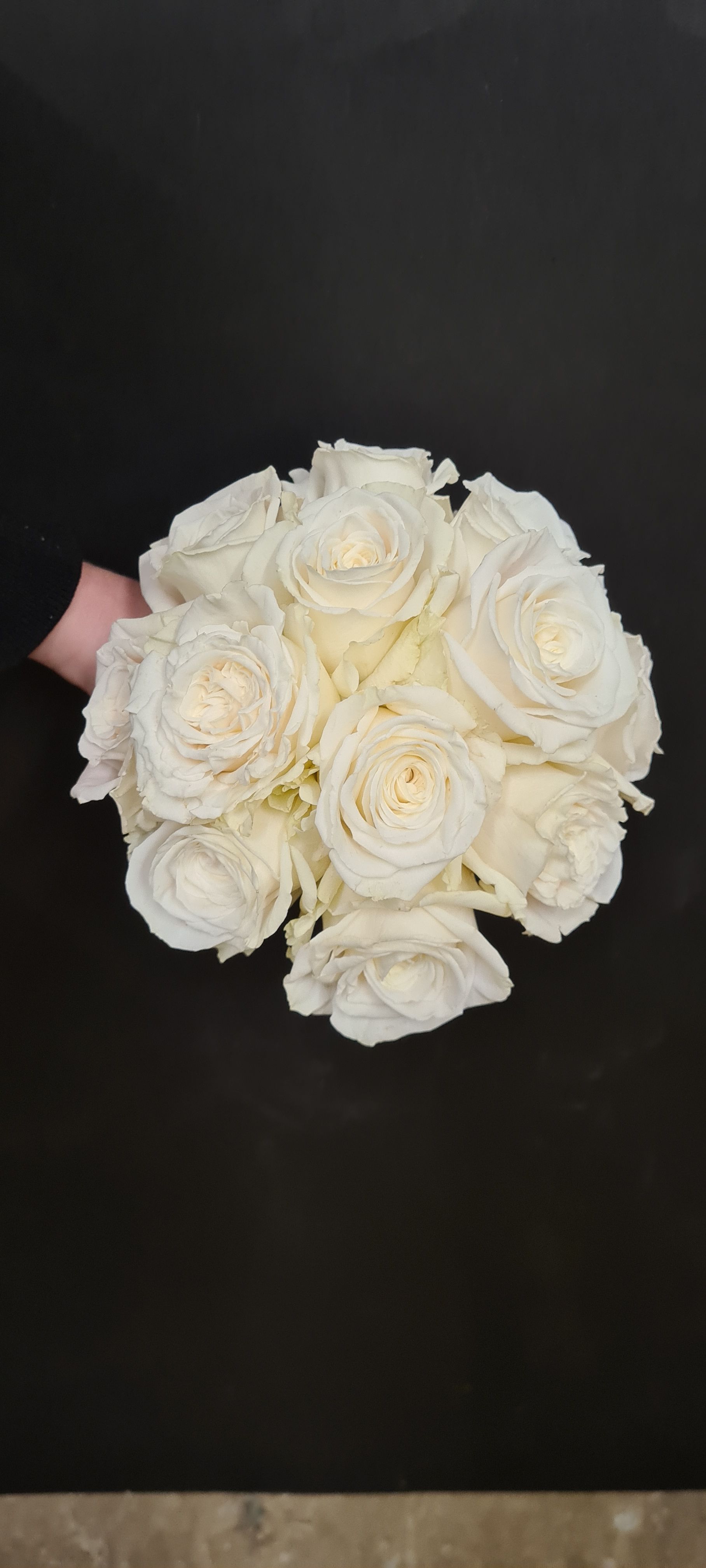 Venetoulis SA|Genève