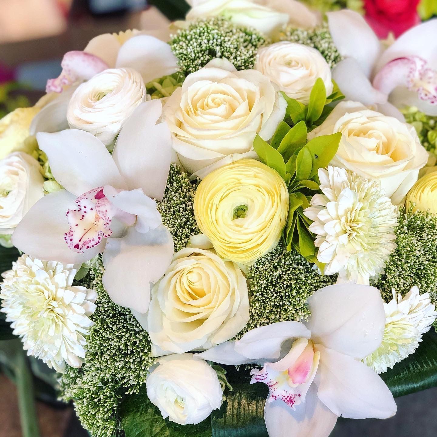 Venetoulis SA|Genève