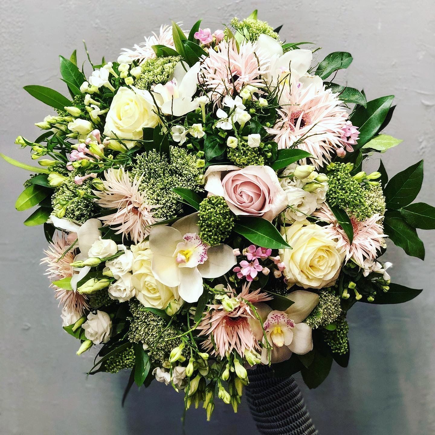 Venetoulis SA|Genève