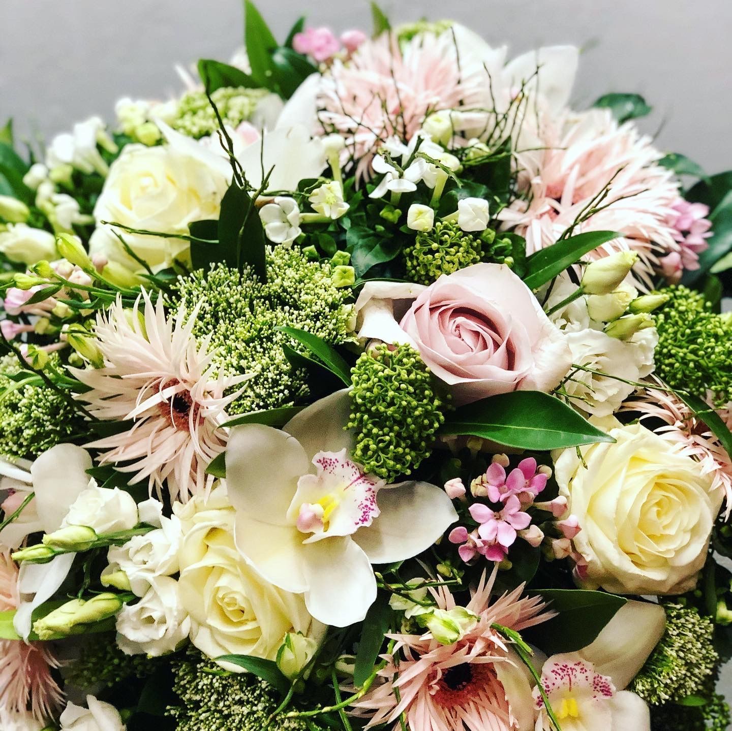 Venetoulis SA|Genève