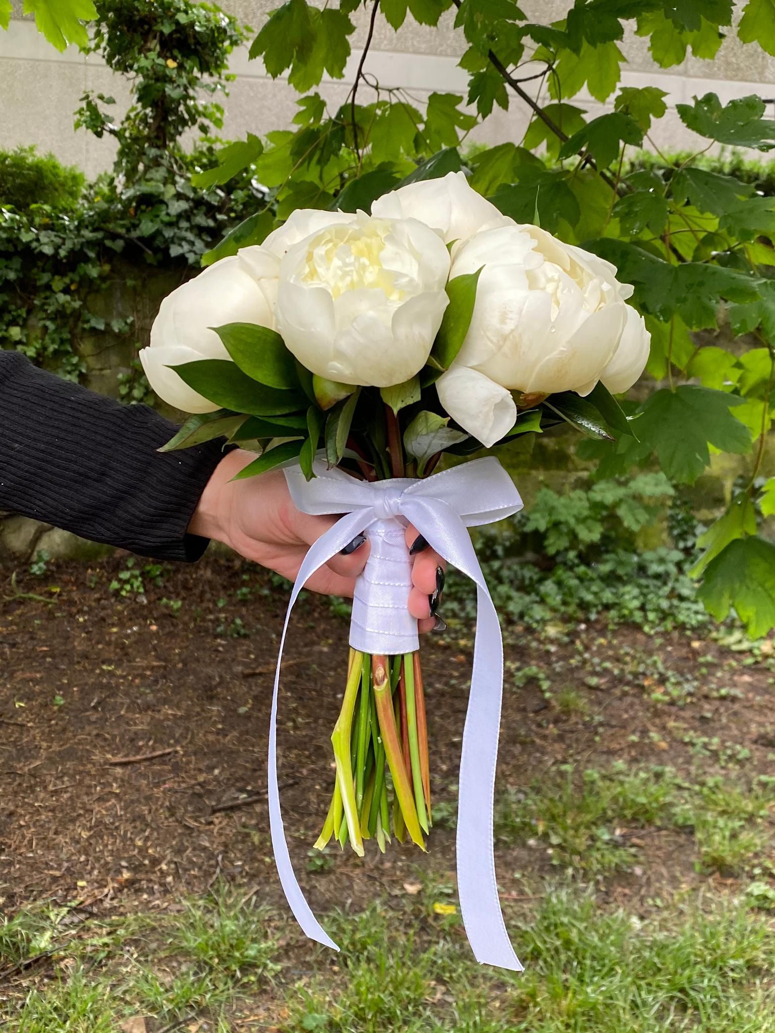 Venetoulis SA|Genève