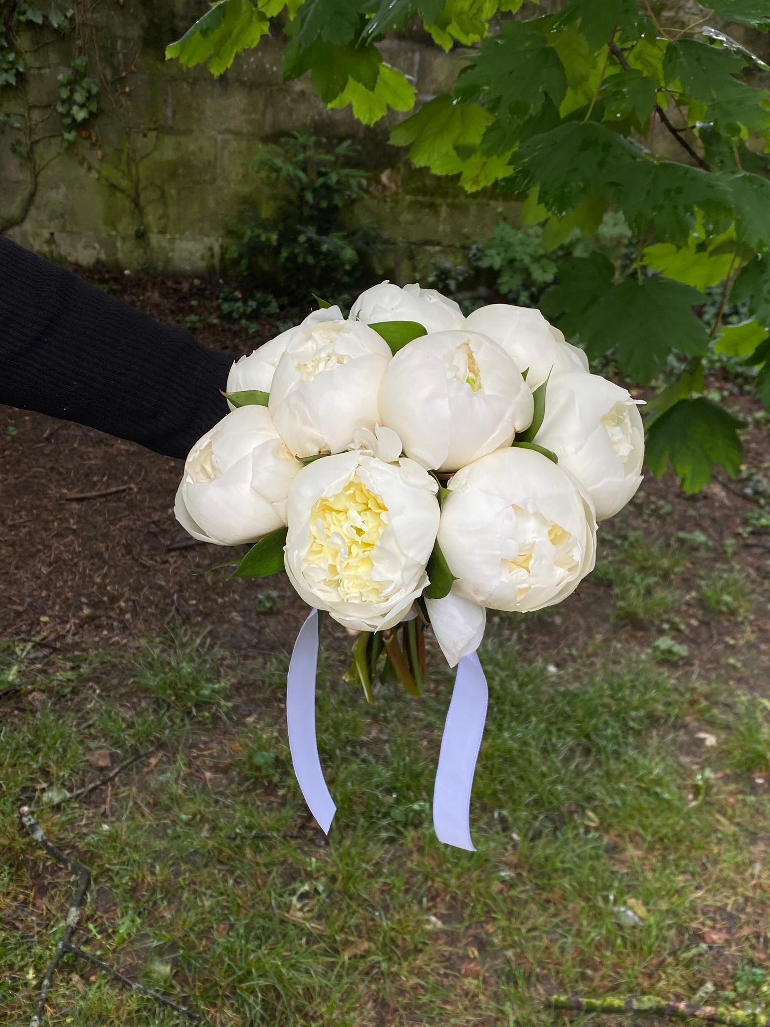 Venetoulis SA|Genève