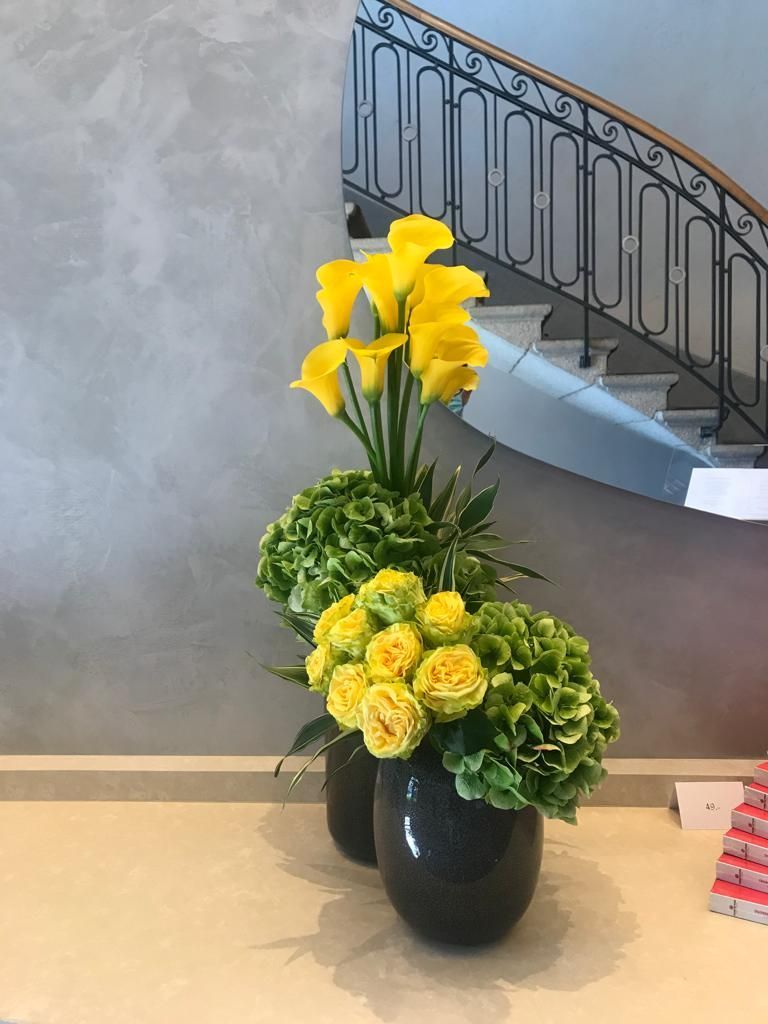 Venetoulis SA|Genève