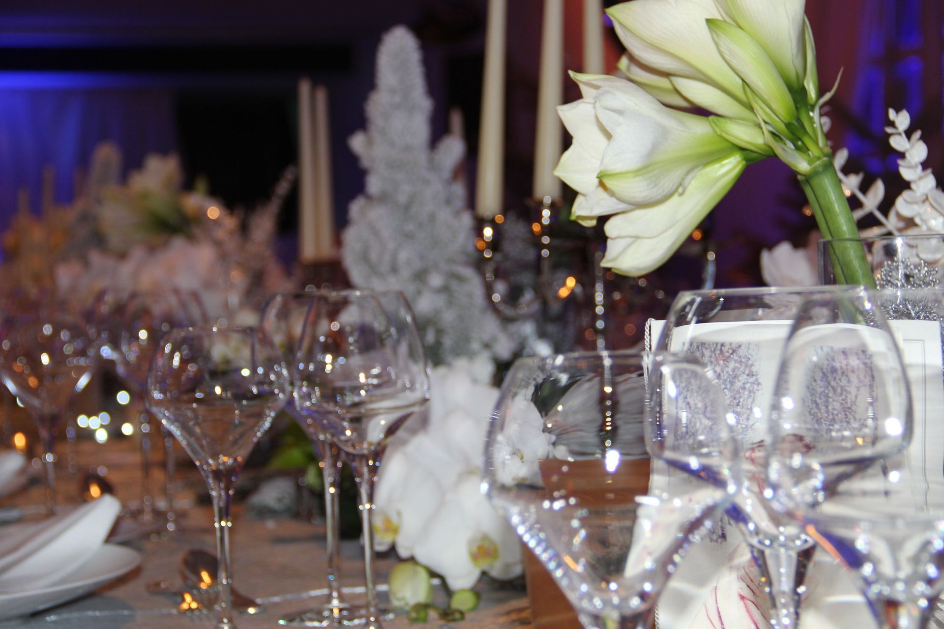 Venetoulis SA|Genève