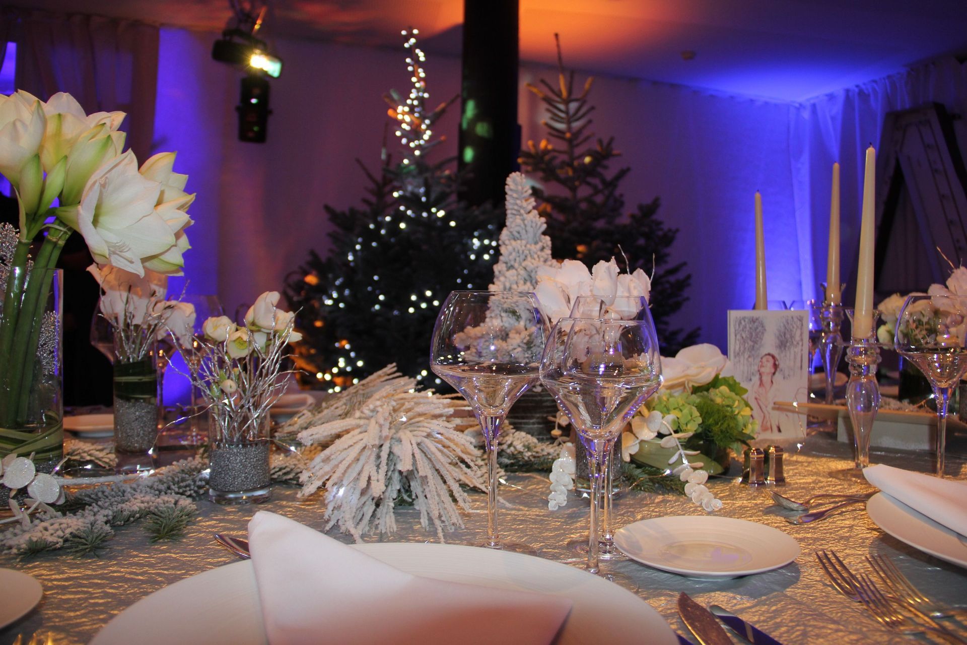 Venetoulis SA|Genève