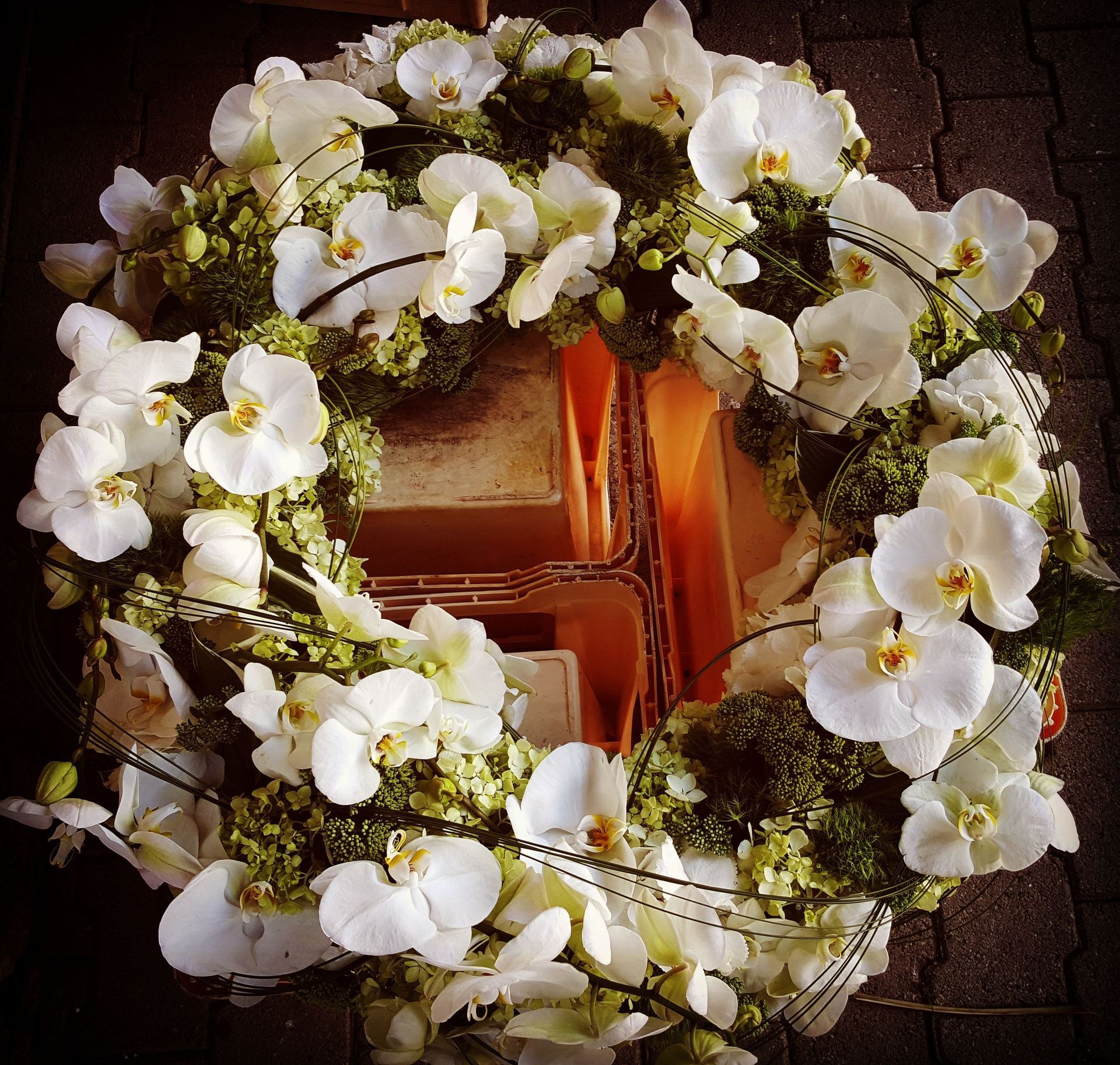 Venetoulis SA|Genève