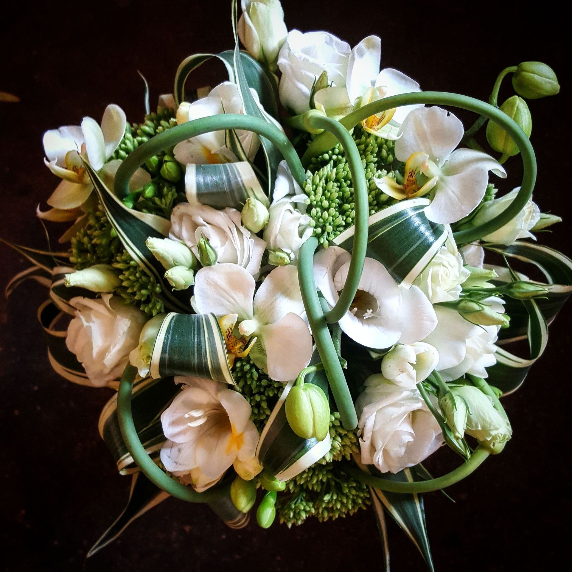 Venetoulis SA|Genève