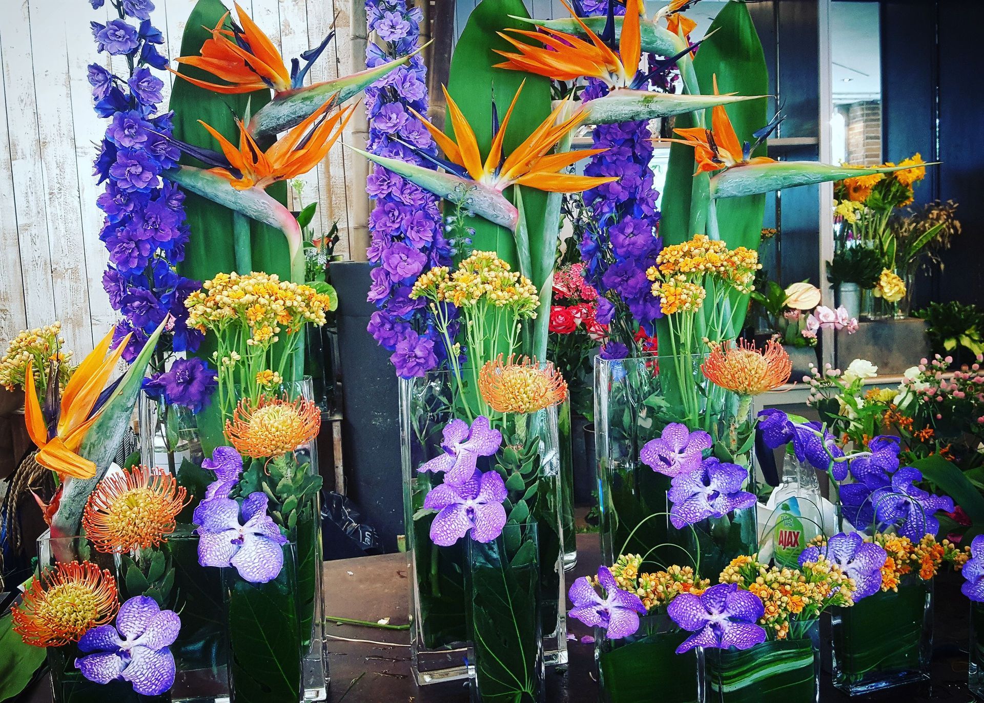 Venetoulis SA|Genève