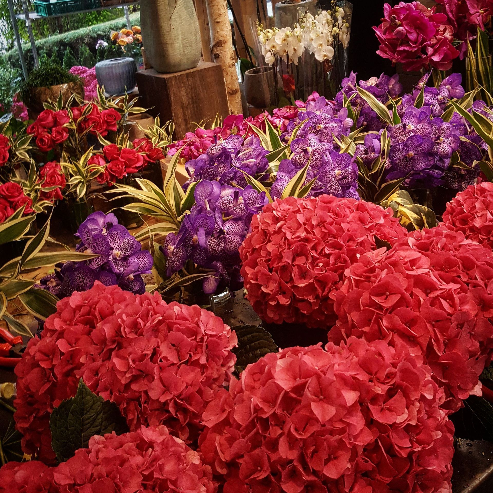 Venetoulis SA|Genève