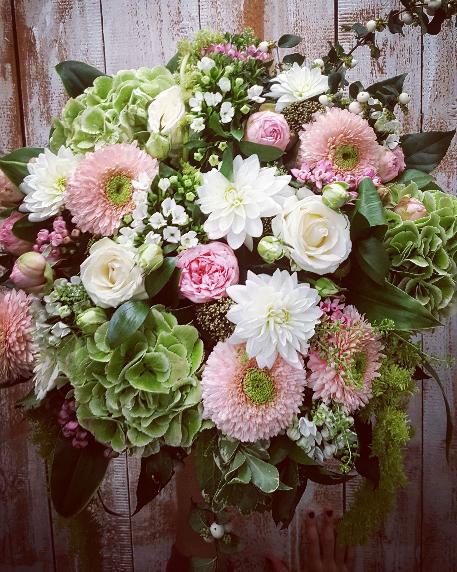 Venetoulis SA|Genève