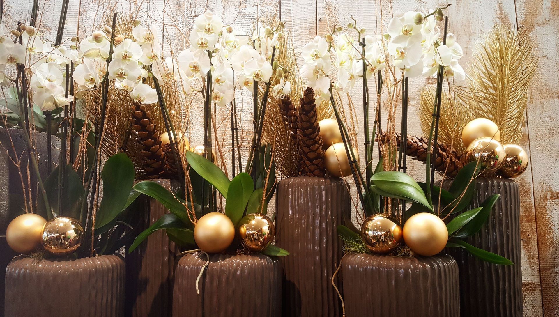 Venetoulis SA|Genève