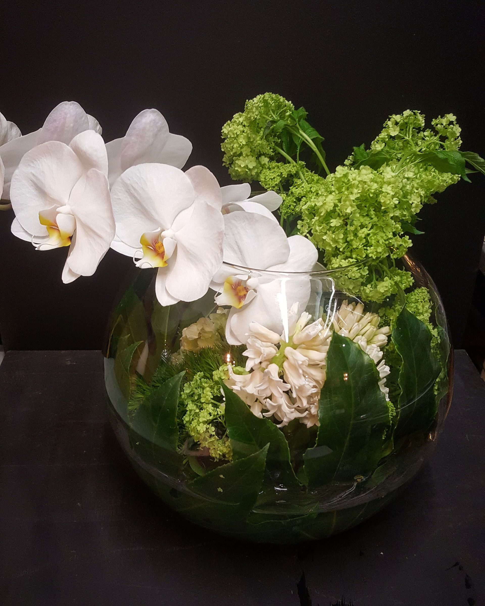 Venetoulis SA|Genève