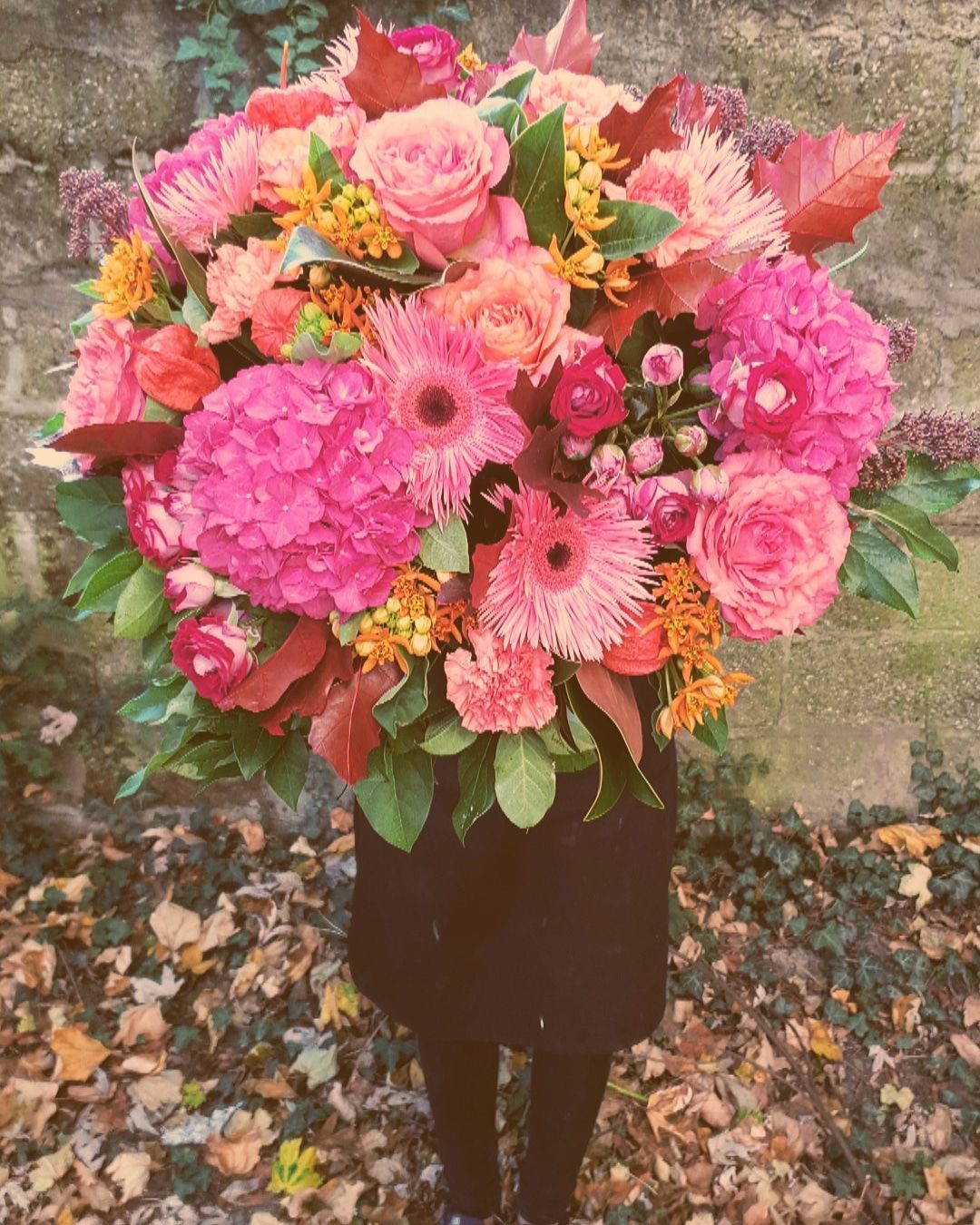 Venetoulis SA|Genève