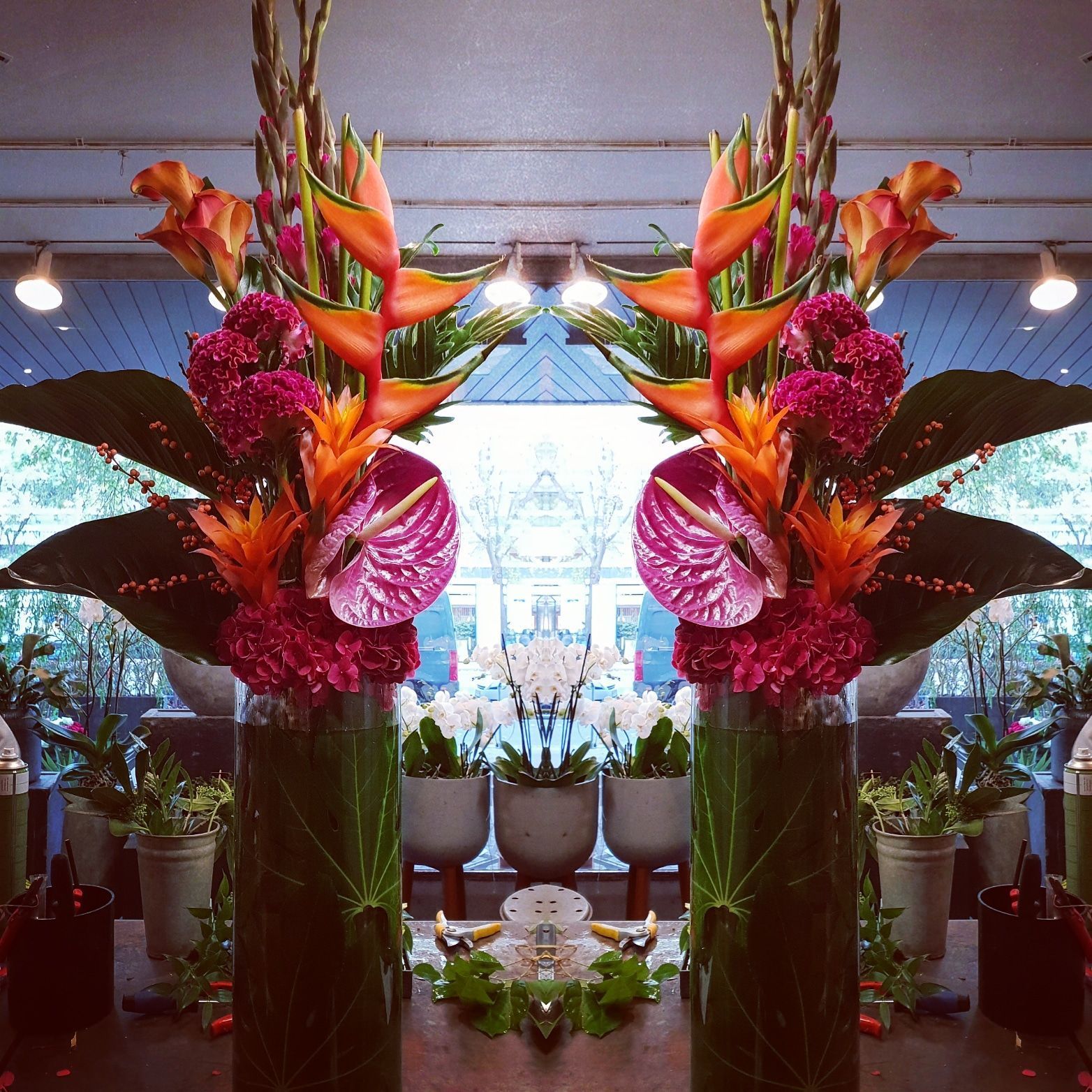 Venetoulis SA|Genève