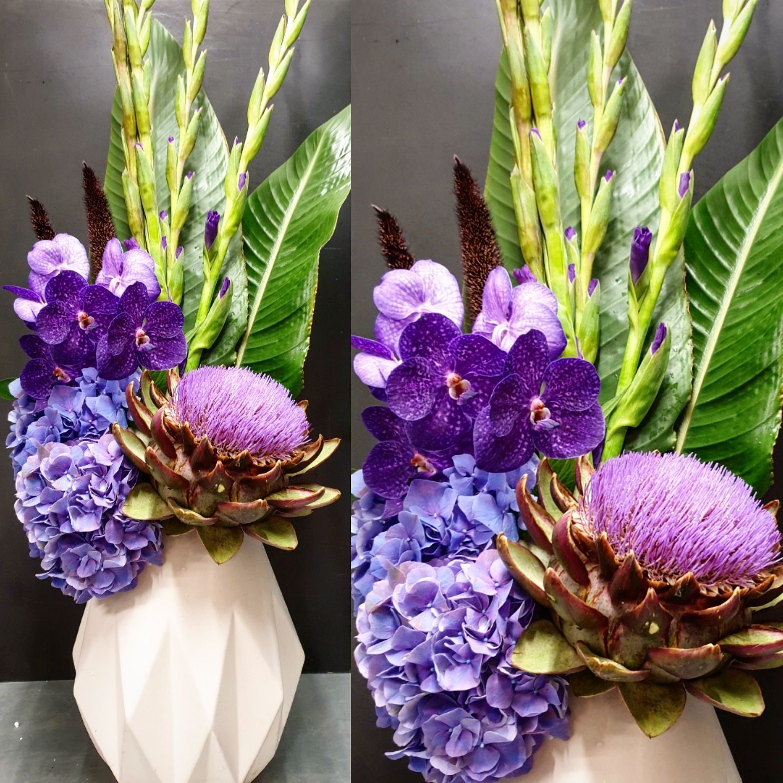 Venetoulis SA|Genève