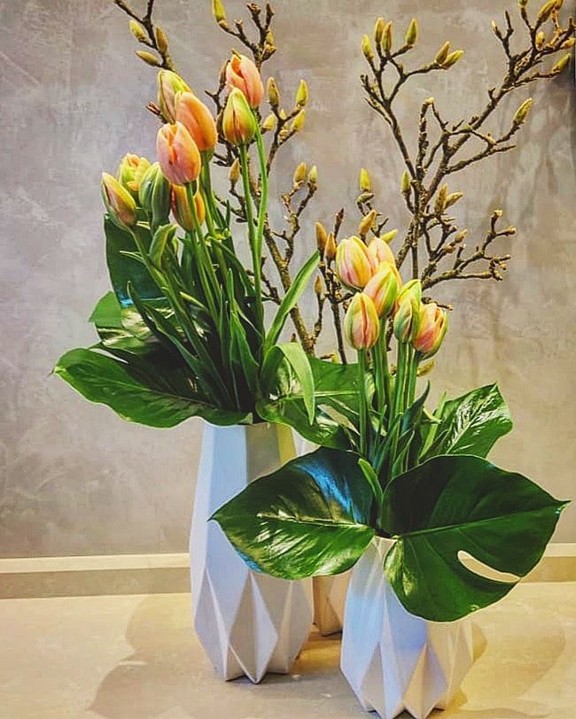 Venetoulis SA|Genève