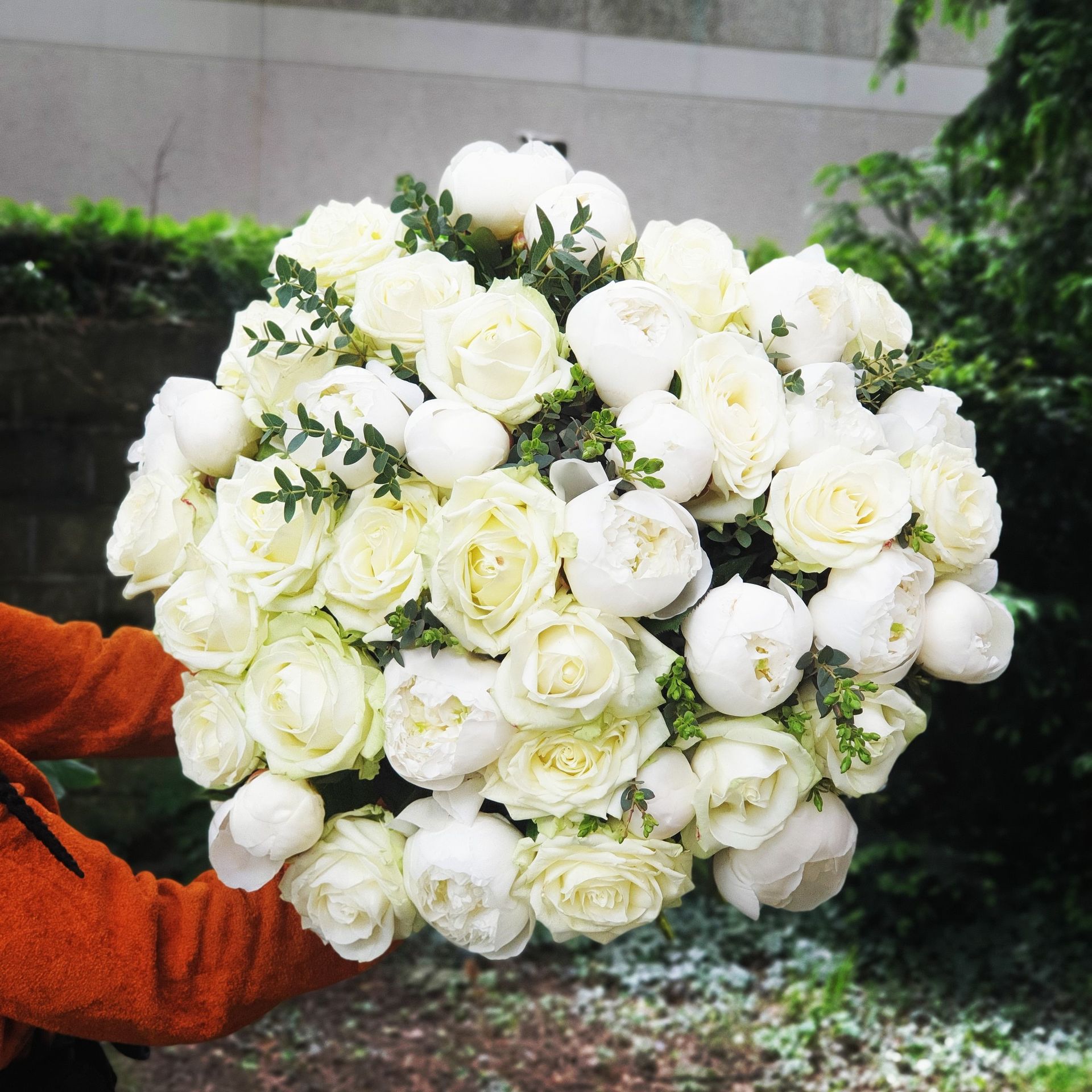 Venetoulis SA|Genève