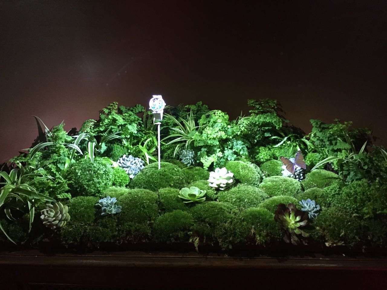 Venetoulis SA|Genève