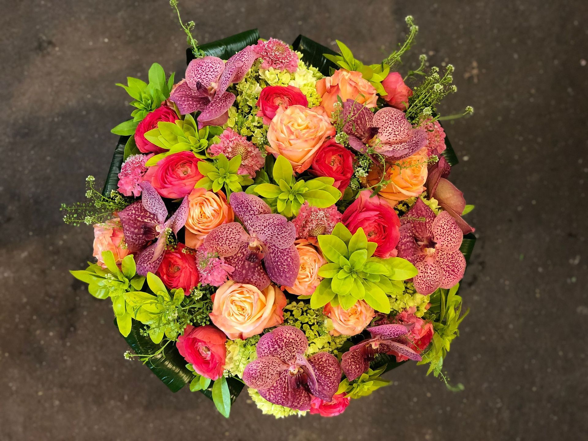 Venetoulis SA|Genève