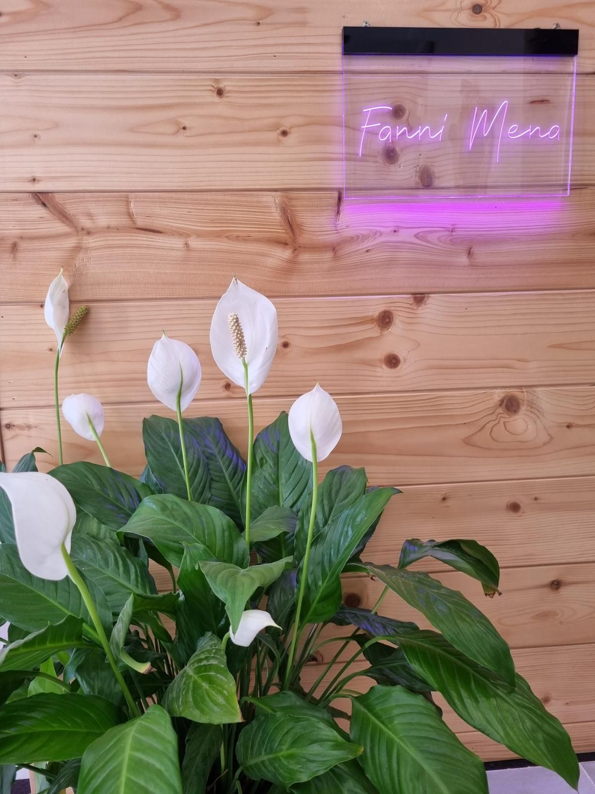 Lirios de la paz blancos frente a una pared de madera con un letrero de neón morado resplandeciente
