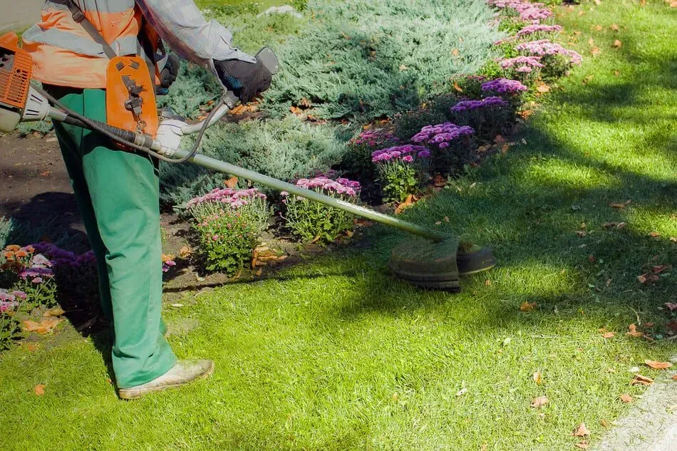 Un hombre está usando una cortadora de césped para cortar el césped en un jardín.